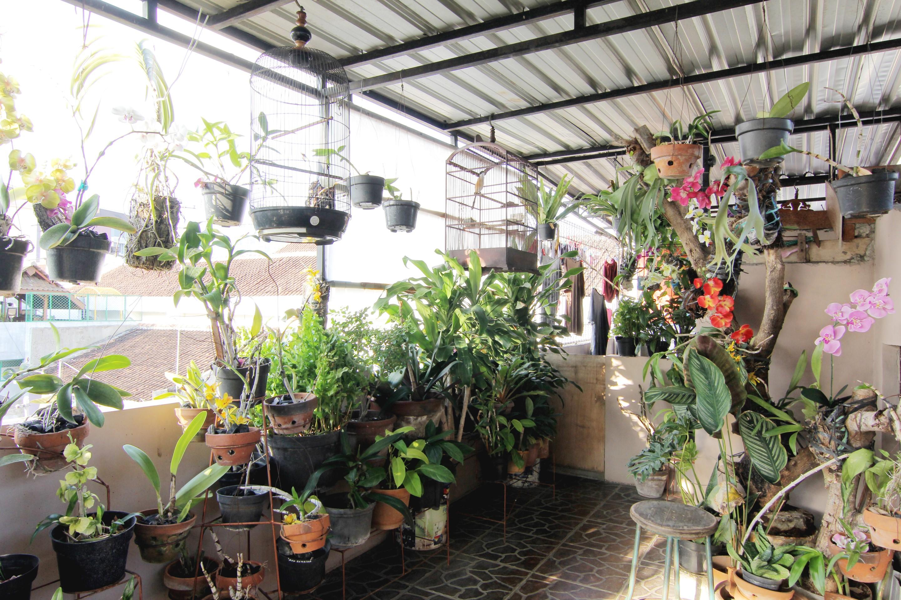 Wanderlust Homestay Yogyakarta Exteriör bild