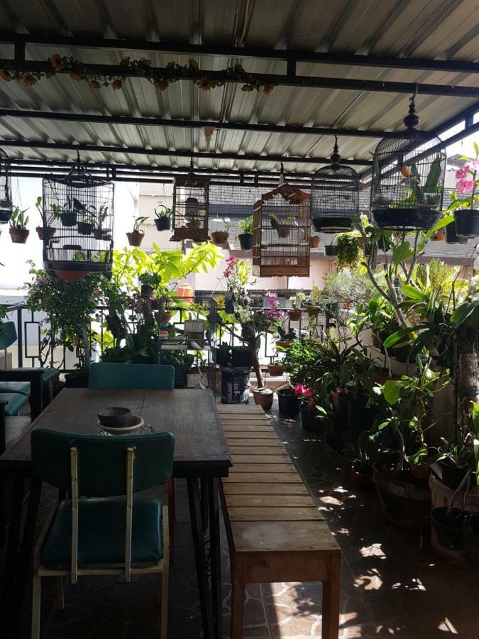 Wanderlust Homestay Yogyakarta Exteriör bild